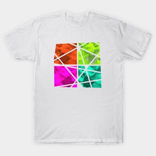 Pieces of Fish T-Shirt